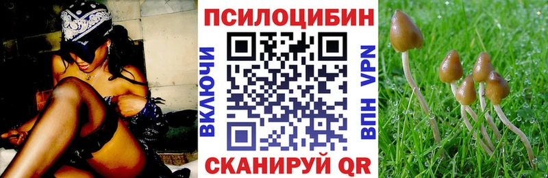 MEGA вход  дарк нет телеграм  Псилоцибиновые грибы Psilocybine cubensis  наркотики  Кызыл 