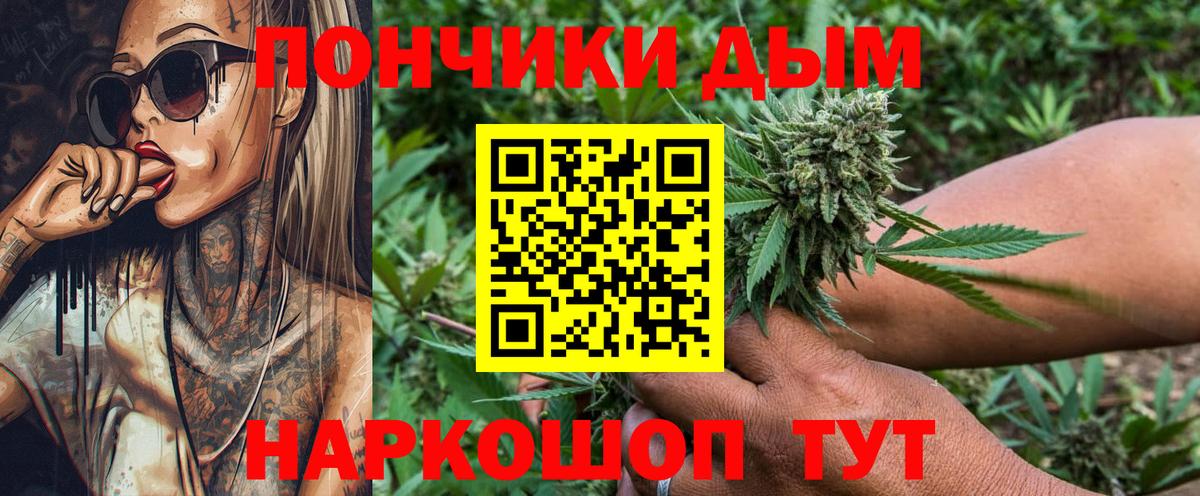 Бошки марихуана сатива  Канабис план  Кызыл 